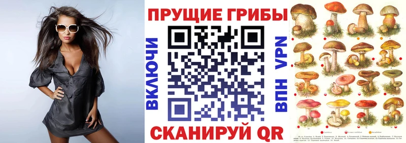Галлюциногенные грибы MAGIC MUSHROOMS  Александровское 